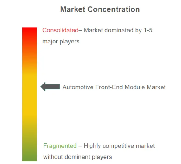 Automotive Front-End Module Market Concentration